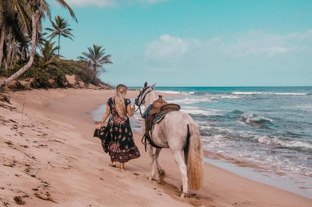 Villa Sea Horse Ranch à La Mulata Extérieur photo